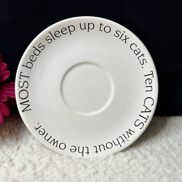 2 Pieces, 1 Large “Crazy Cat Lady” Mug & A Large Very Fine Cat Fluffy Saucer - Picture 2 of 8